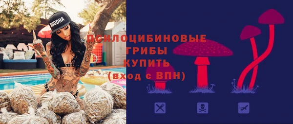мяу мяу кристалл Новодвинск