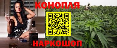 стафф Донецк