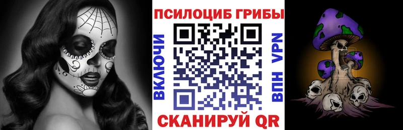 Галлюциногенные грибы Psilocybe Муравленко