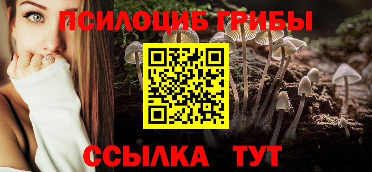 Галлюциногенные грибы прущие грибы Муравленко