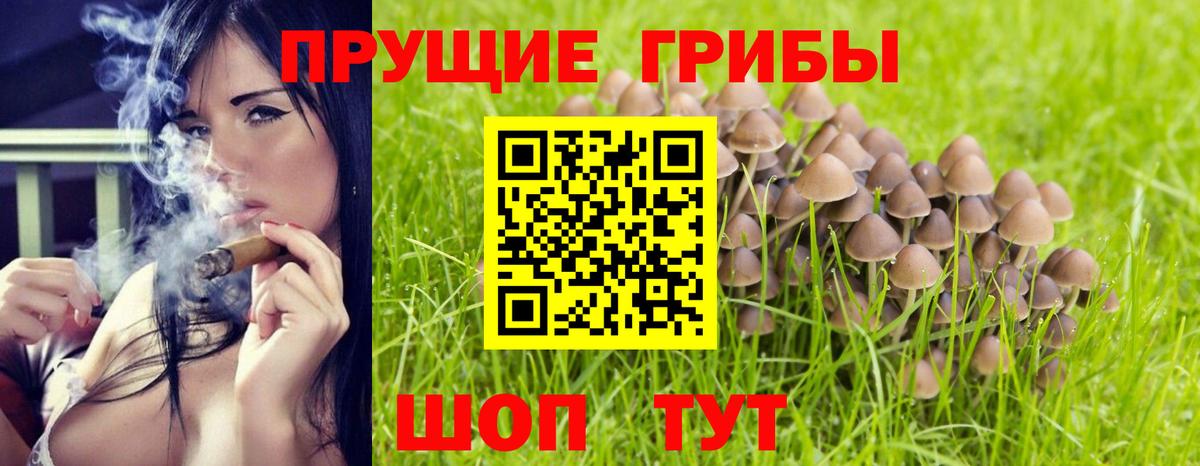 Галлюциногенные грибы GOLDEN TEACHER Муравленко