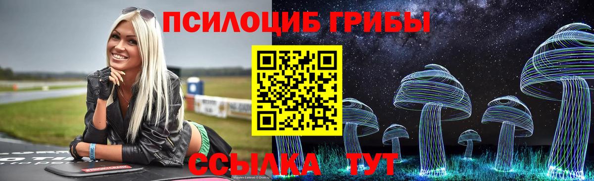 Муравленко  Псилоцибиновые грибы GOLDEN TEACHER  Вход с VPN 