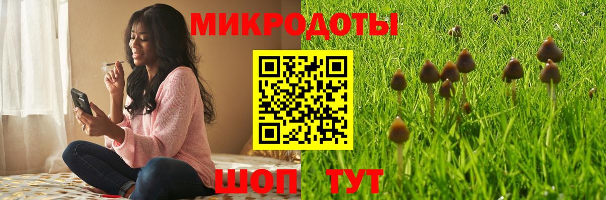 Галлюциногенные грибы Psilocybe  магазин продажи наркотиков  Муравленко 